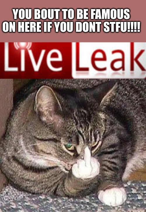 YOU BOUT TO BE FAMOUS ON HERE IF YOU DONT STFU!!!! | image tagged in liveleak logo,cat middle finger | made w/ Imgflip meme maker