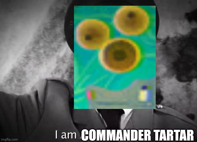 OWNER OF KAMABO CO.© | COMMANDER TARTAR | made w/ Imgflip meme maker