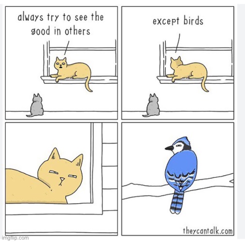 Never trust birds… (Jk :) | made w/ Imgflip meme maker