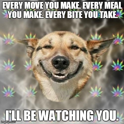 I'm Hungry.... | EVERY MOVE YOU MAKE. EVERY MEAL YOU MAKE. EVERY BITE YOU TAKE. I'LL BE WATCHING YOU. | image tagged in memes,stoner dog | made w/ Imgflip meme maker