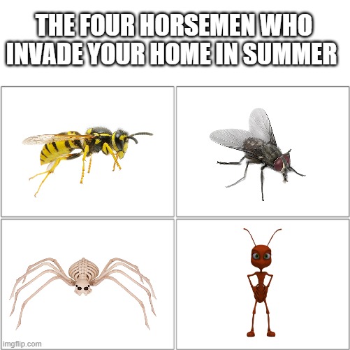 they're there every year... here they are... | THE FOUR HORSEMEN WHO INVADE YOUR HOME IN SUMMER | image tagged in the 4 horsemen of | made w/ Imgflip meme maker