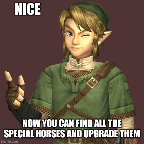Zelda | NICE NOW YOU CAN FIND ALL THE SPECIAL HORSES AND UPGRADE THEM | image tagged in zelda | made w/ Imgflip meme maker