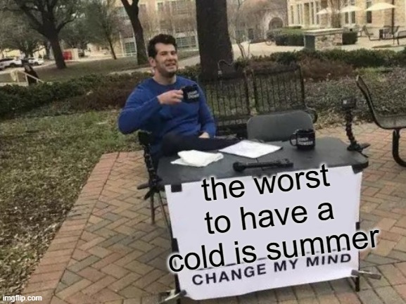 Change my mind | the worst to have a cold is summer | image tagged in memes,change my mind | made w/ Imgflip meme maker