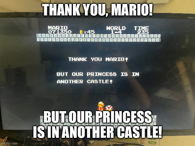 Wrong Castle, Mario! | THANK YOU, MARIO! BUT OUR PRINCESS IS IN ANOTHER CASTLE! | image tagged in mario | made w/ Imgflip meme maker