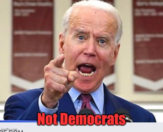 Joe Biden no malarkey | Not Democrats | image tagged in joe biden no malarkey | made w/ Imgflip meme maker