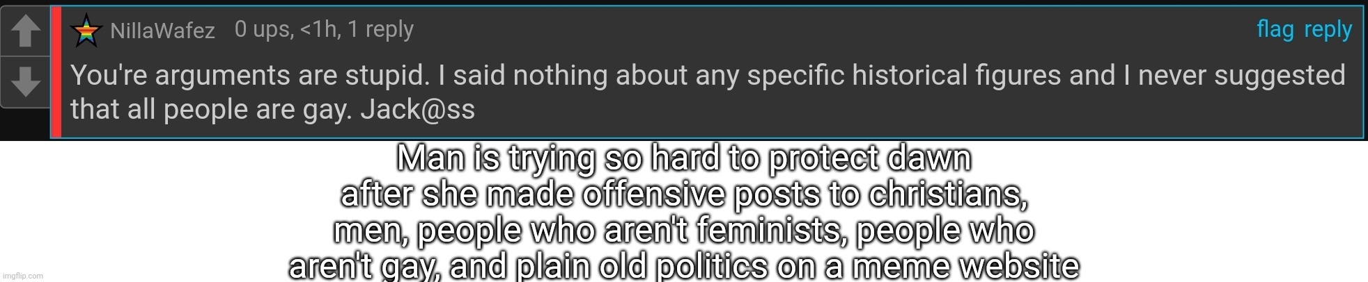Man is trying so hard to protect dawn after she made offensive posts to christians, men, people who aren't feminists, people who aren't gay, and plain old politics on a meme website | made w/ Imgflip meme maker