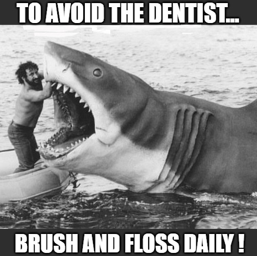 SMILE YOU SON OF | TO AVOID THE DENTIST... BRUSH AND FLOSS DAILY ! | image tagged in jaws,bruce,vintage,funny,shark | made w/ Imgflip meme maker