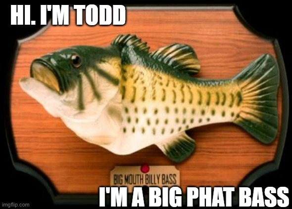 big mouth billy bass | HI. I'M TODD I'M A BIG PHAT BASS | image tagged in big mouth billy bass | made w/ Imgflip meme maker