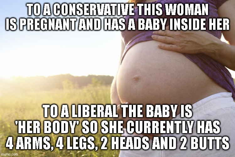 Pregnant Woman | TO A CONSERVATIVE THIS WOMAN IS PREGNANT AND HAS A BABY INSIDE HER; TO A LIBERAL THE BABY IS 'HER BODY' SO SHE CURRENTLY HAS 4 ARMS, 4 LEGS, 2 HEADS AND 2 BUTTS | image tagged in pregnant woman | made w/ Imgflip meme maker