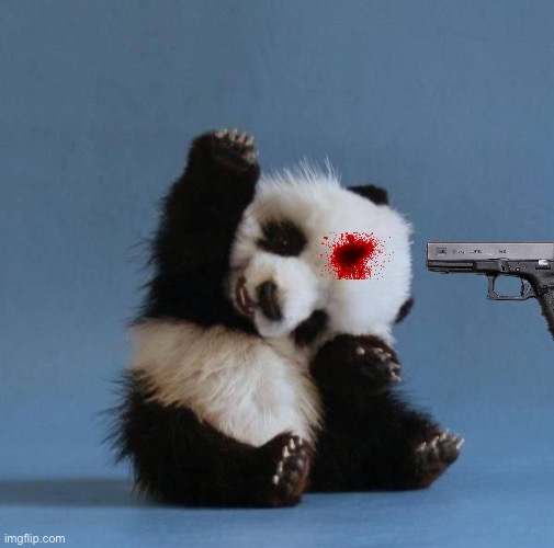 Panda | image tagged in panda | made w/ Imgflip meme maker