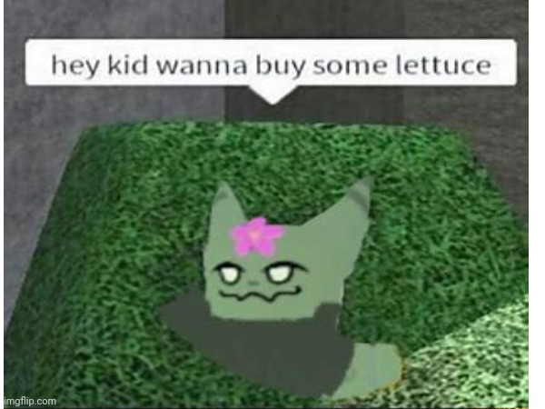 Plantix | image tagged in unfunny,lettuce | made w/ Imgflip meme maker