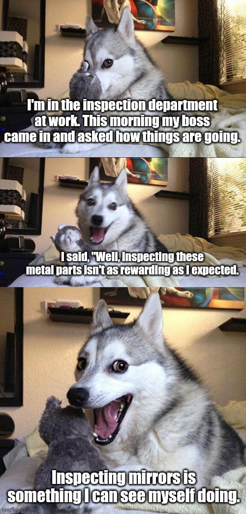 True story. | I'm in the inspection department at work. This morning my boss came in and asked how things are going. I said, "Well, inspecting these metal parts isn't as rewarding as I expected. Inspecting mirrors is something I can see myself doing. | image tagged in memes,bad pun dog,funny | made w/ Imgflip meme maker