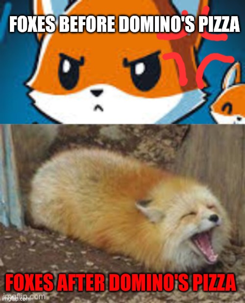 Important fox facts | FOXES BEFORE DOMINO'S PIZZA; FOXES AFTER DOMINO'S PIZZA | image tagged in fox,facts | made w/ Imgflip meme maker