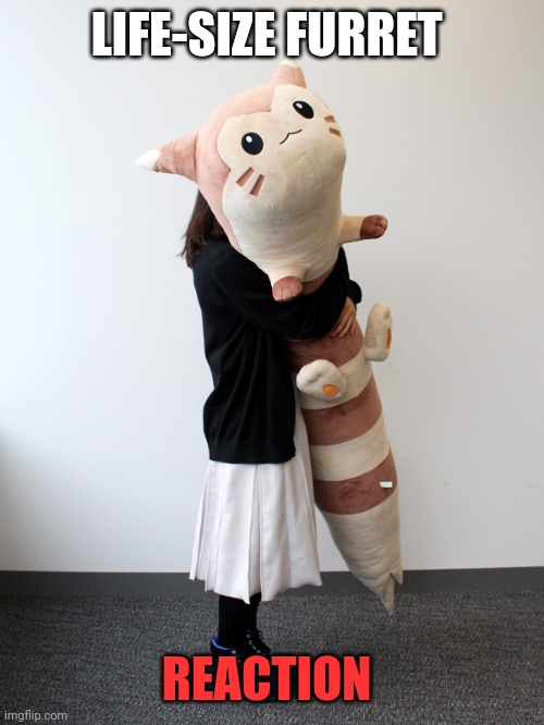 Life sized furret | LIFE-SIZE FURRET; REACTION | image tagged in furret,doll | made w/ Imgflip meme maker