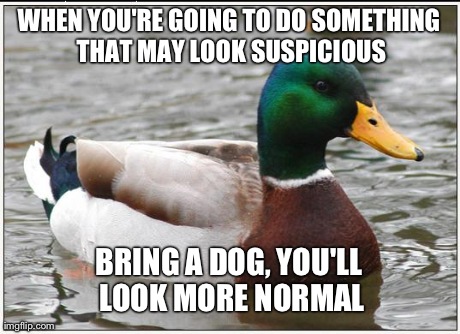 Actual Advice Mallard Meme | WHEN YOU'RE GOING TO DO SOMETHING THAT MAY LOOK SUSPICIOUS BRING A DOG, YOU'LL LOOK MORE NORMAL | image tagged in memes,actual advice mallard,AdviceAnimals | made w/ Imgflip meme maker