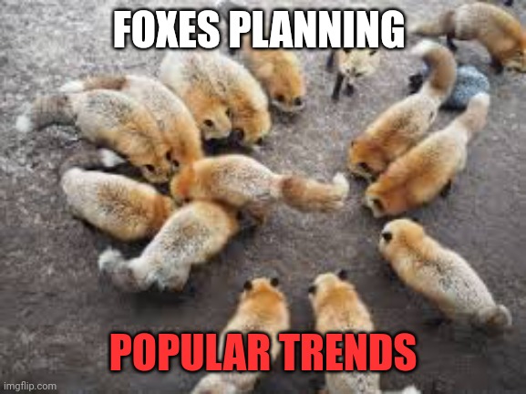 New fox trends on the way | FOXES PLANNING; POPULAR TRENDS | image tagged in popular,trends | made w/ Imgflip meme maker