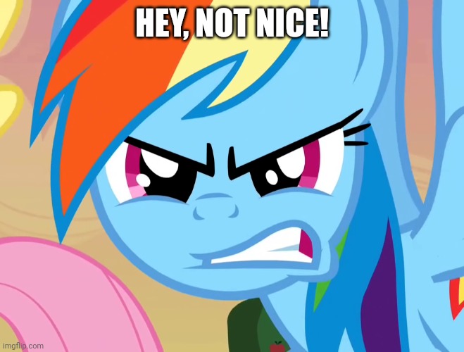 HEY, NOT NICE! | made w/ Imgflip meme maker