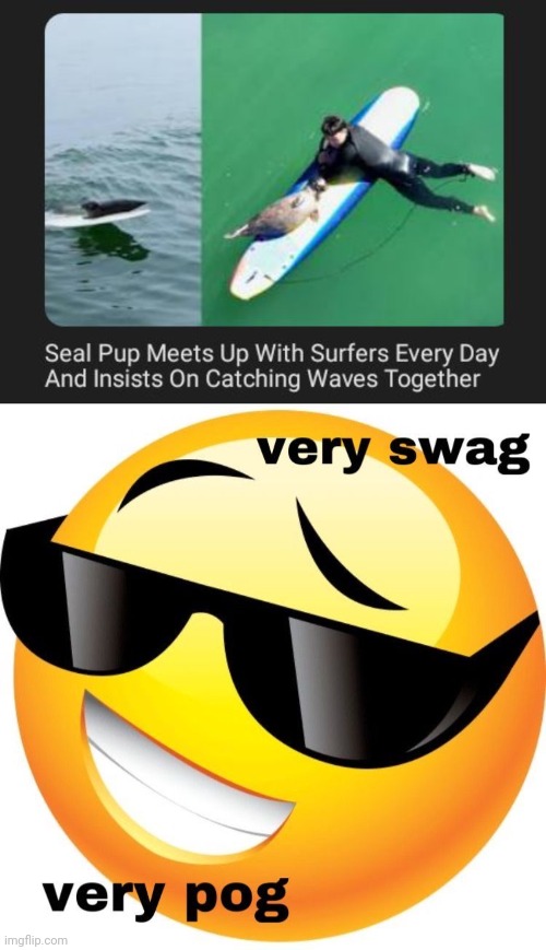 Catching waves together | image tagged in very swag very pog,surf,surfing,memes,waves,wave | made w/ Imgflip meme maker