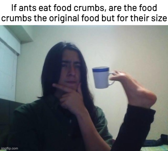It's just for fun | If ants eat food crumbs, are the food crumbs the original food but for their size | image tagged in hmmmm,shower thoughts,memes | made w/ Imgflip meme maker