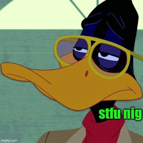 daffy duck | stfu nig | image tagged in daffy duck | made w/ Imgflip meme maker