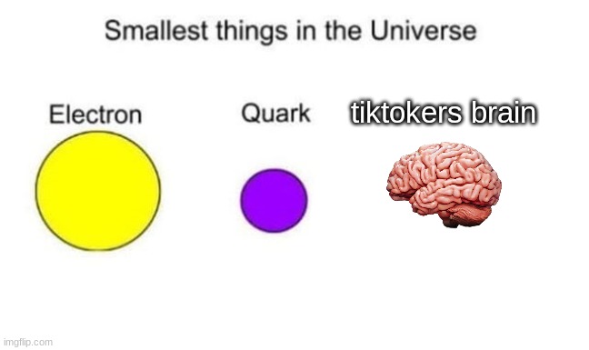 Smallest things in the universe | tiktokers brain | image tagged in smallest things in the universe | made w/ Imgflip meme maker