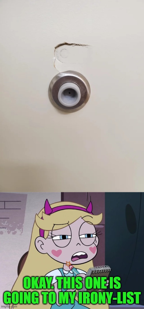 Installed the doorstop, boss. | OKAY. THIS ONE IS GOING TO MY IRONY-LIST | image tagged in star butterfly listing,you had one job,star vs the forces of evil,memes | made w/ Imgflip meme maker