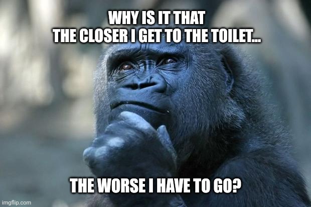 Comode contemplating | WHY IS IT THAT THE CLOSER I GET TO THE TOILET... THE WORSE I HAVE TO GO? | image tagged in deep thoughts,bathroom,toilet humor,restroom | made w/ Imgflip meme maker