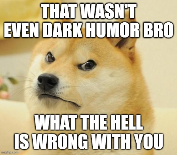 It's dark humor bro!!! | THAT WASN'T EVEN DARK HUMOR BRO; WHAT THE HELL IS WRONG WITH YOU | image tagged in mad doge,reaction,wth,doge | made w/ Imgflip meme maker
