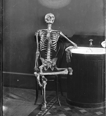 High Quality Skeleton waiting Blank Meme Template