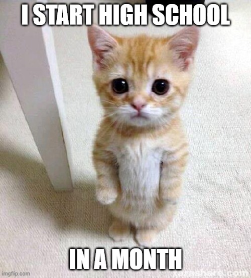Cute Cat Meme | I START HIGH SCHOOL; IN A MONTH | image tagged in memes,cute cat | made w/ Imgflip meme maker