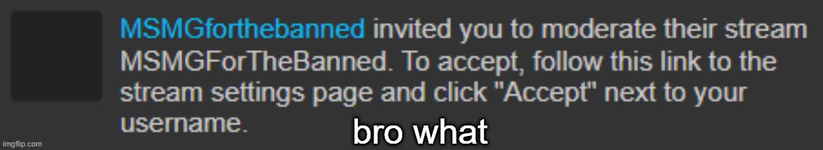 bro what | made w/ Imgflip meme maker