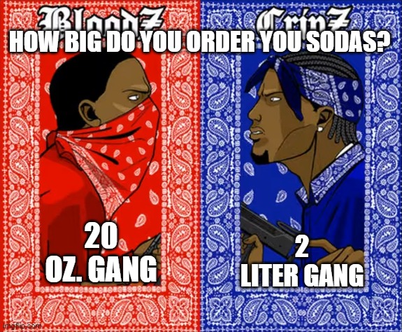 Which side are you on when it comes to soda sizes? | HOW BIG DO YOU ORDER YOU SODAS? 2 LITER GANG; 20 OZ. GANG | image tagged in which side are you on | made w/ Imgflip meme maker