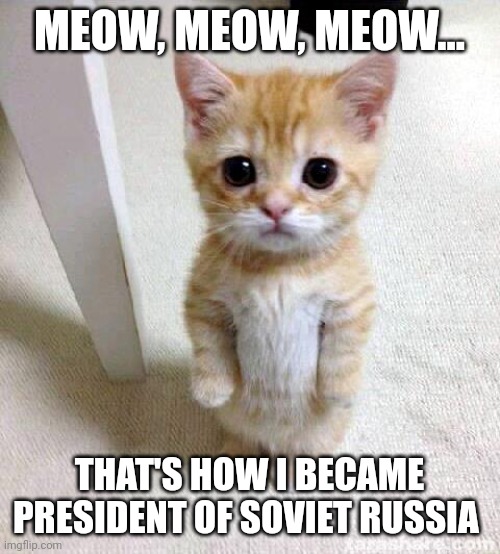 First kitten president of the USSR | MEOW, MEOW, MEOW... THAT'S HOW I BECAME PRESIDENT OF SOVIET RUSSIA | image tagged in memes,cute cat | made w/ Imgflip meme maker
