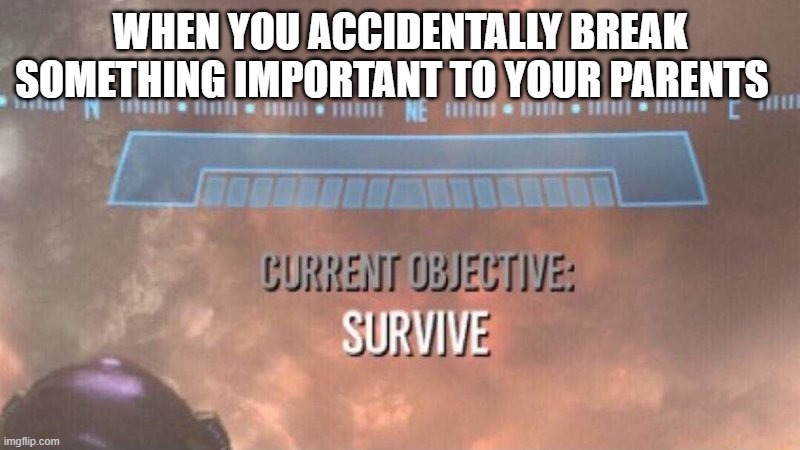 survive | WHEN YOU ACCIDENTALLY BREAK SOMETHING IMPORTANT TO YOUR PARENTS | image tagged in current objective survive | made w/ Imgflip meme maker