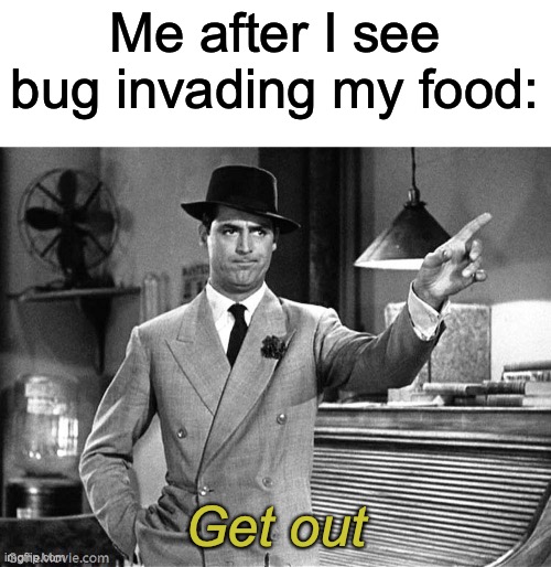 Get out | Me after I see bug invading my food:; Get out | image tagged in get out | made w/ Imgflip meme maker