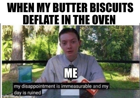 Deflated butter biscuits | WHEN MY BUTTER BISCUITS DEFLATE IN THE OVEN; ME | image tagged in my dissapointment is immeasurable and my day is ruined | made w/ Imgflip meme maker