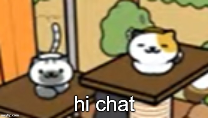how is everyone today | hi chat | made w/ Imgflip meme maker