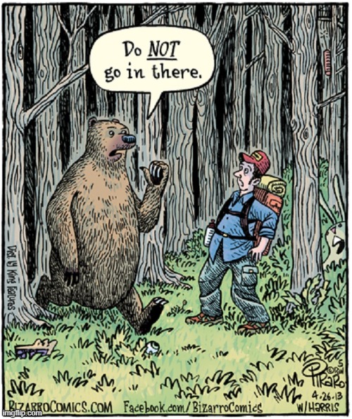 ...and we all know why —and it ain't the pope! | image tagged in vince vance,bears,woods,hiker,memes,comics/cartoons | made w/ Imgflip meme maker