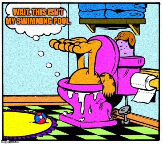 Stop peeing in the pool | WAIT. THIS ISN'T MY SWIMMING POOL. | image tagged in garfield in toilet,stop it get some help,garfield,swimming pool | made w/ Imgflip meme maker