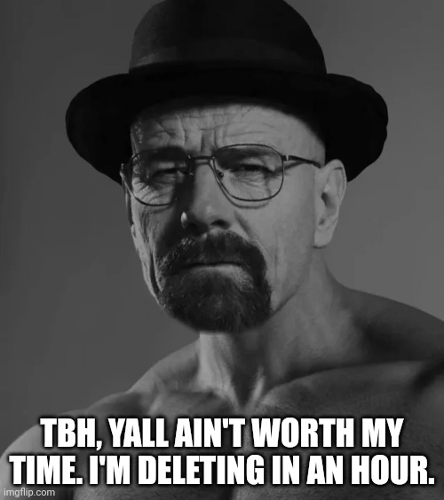 Heisenchad | TBH, YALL AIN'T WORTH MY TIME. I'M DELETING IN AN HOUR. | image tagged in heisenchad | made w/ Imgflip meme maker