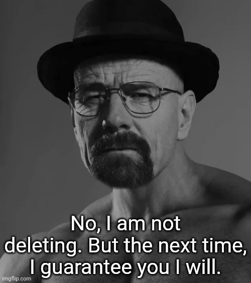 Heisenchad | No, I am not deleting. But the next time, I guarantee you I will. | image tagged in heisenchad | made w/ Imgflip meme maker