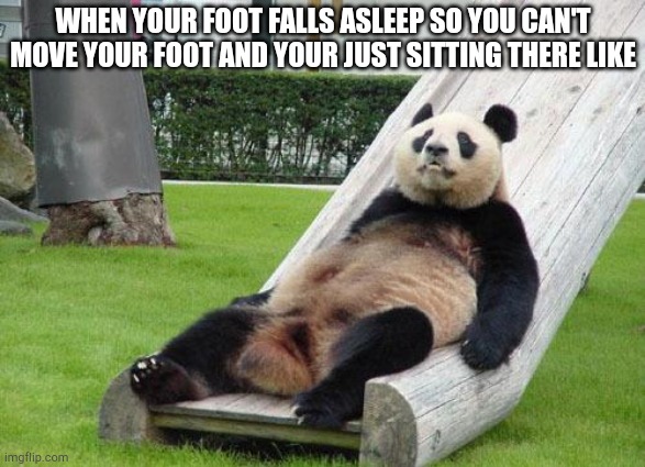 Hate when it falls asleep, like I NEED TO MOVE OKAY?! | WHEN YOUR FOOT FALLS ASLEEP SO YOU CAN'T MOVE YOUR FOOT AND YOUR JUST SITTING THERE LIKE | image tagged in can't move me i don't give a shit | made w/ Imgflip meme maker