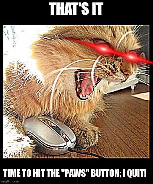 rage cat | THAT'S IT; TIME TO HIT THE "PAWS" BUTTON; I QUIT! | image tagged in rage cat | made w/ Imgflip meme maker
