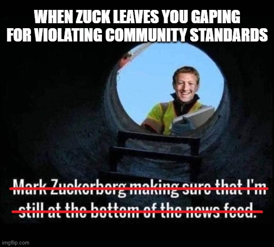 somebody should warn elon  :\ | WHEN ZUCK LEAVES YOU GAPING
FOR VIOLATING COMMUNITY STANDARDS | image tagged in mark zuckerberg,elon musk,facebook,community standards,stupid people,funny memes | made w/ Imgflip meme maker