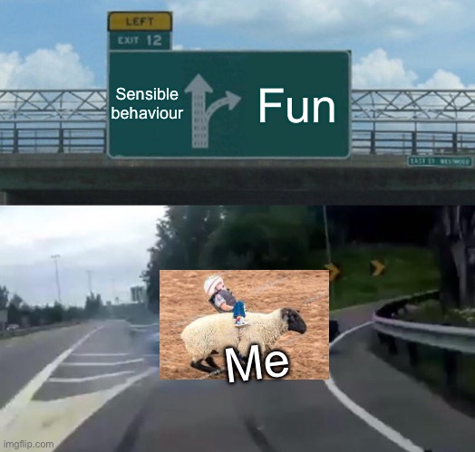 Sensible vs fun | Sensible behaviour; Fun; Me | image tagged in memes,left exit 12 off ramp,fun,sensible | made w/ Imgflip meme maker