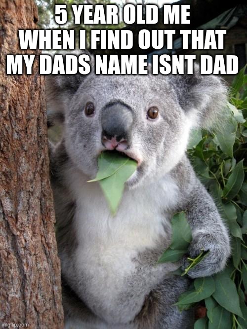 Surprised Koala | 5 YEAR OLD ME WHEN I FIND OUT THAT MY DADS NAME ISNT DAD | image tagged in memes,surprised koala,funny memes,koala,dad | made w/ Imgflip meme maker
