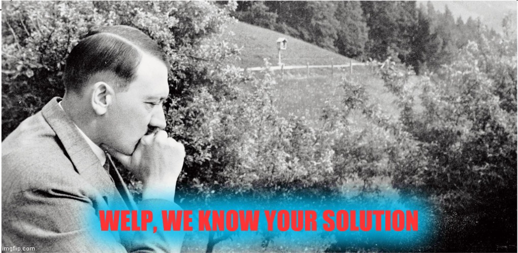 Literally Hiitler | WELP, WE KNOW YOUR SOLUTION | image tagged in literally hiitler | made w/ Imgflip meme maker