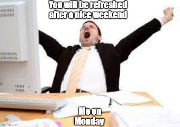 yawn | You will be refreshed after a nice weekend; Me on Monday | image tagged in sleepy person | made w/ Imgflip meme maker