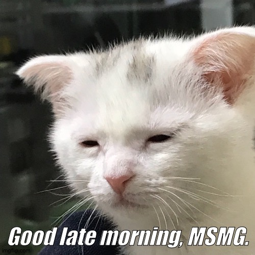 I'm awake, but at what cost? | Good late morning, MSMG. | image tagged in i'm awake but at what cost | made w/ Imgflip meme maker