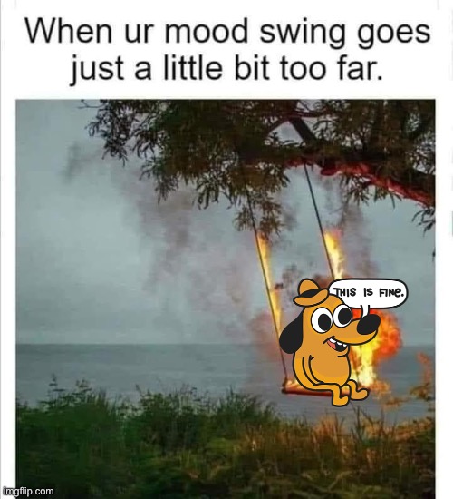Mood swings | image tagged in mood,swing,this is fine | made w/ Imgflip meme maker
